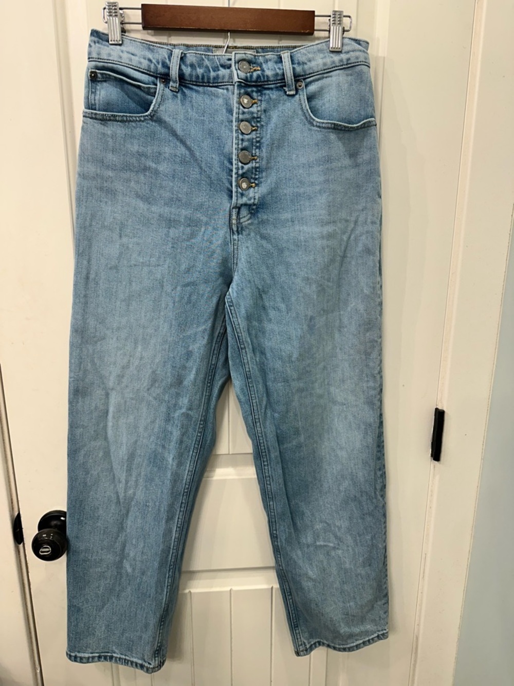 Everlane The Rigid Way-High Jean Vintage Light Wash Exposed Button Fly 29R